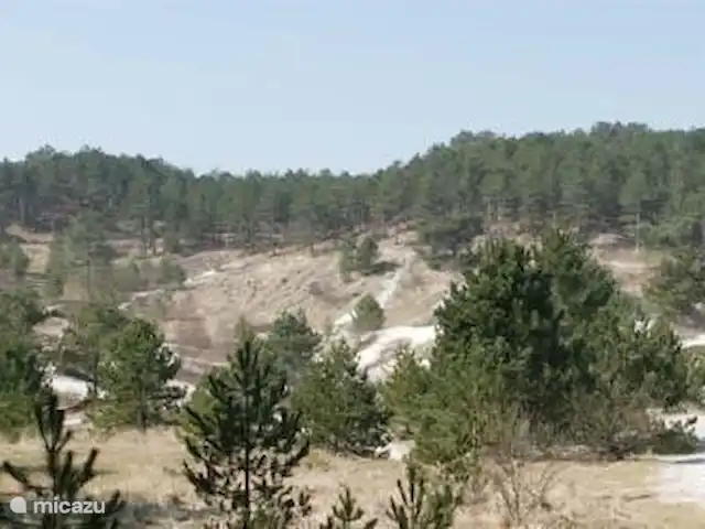 Playa en Países Bajos, Holanda del Norte, Bergen - casa vacacional Dunas de Bergen