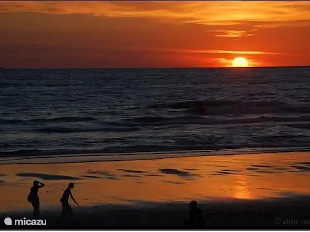 Playa en Países Bajos, Holanda del Norte, Bergen - casa vacacional montañas junto al mar