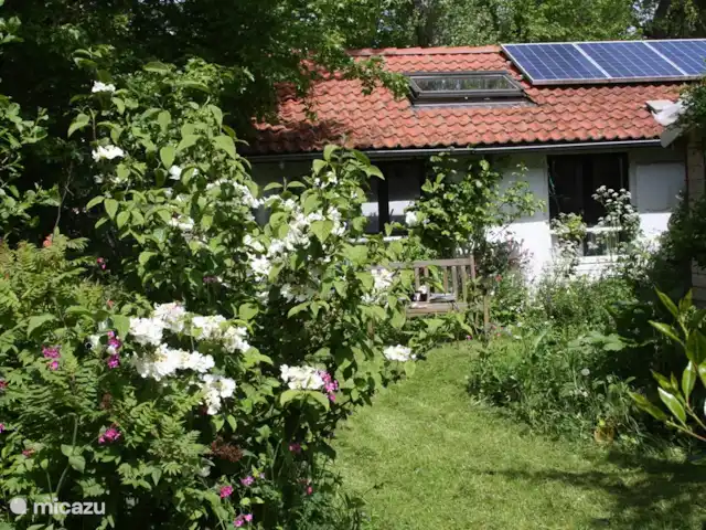Playa en Países Bajos, Holanda del Norte, Bergen - casa vacacional Césped suplementario en el jardín. Vista lateral del edificio principal