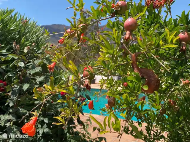 Balcon de la Guardia | Espagne, Andalousie, Guajar Faraguit - villa