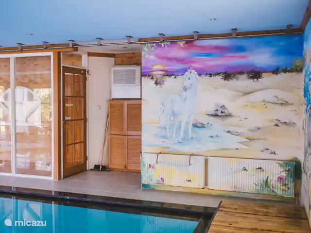 casa de campo / castillo en Países Bajos, Groninga, Westerwolde – Casa Iris, con piscina cubierta cálida privada parte trasera de la piscina