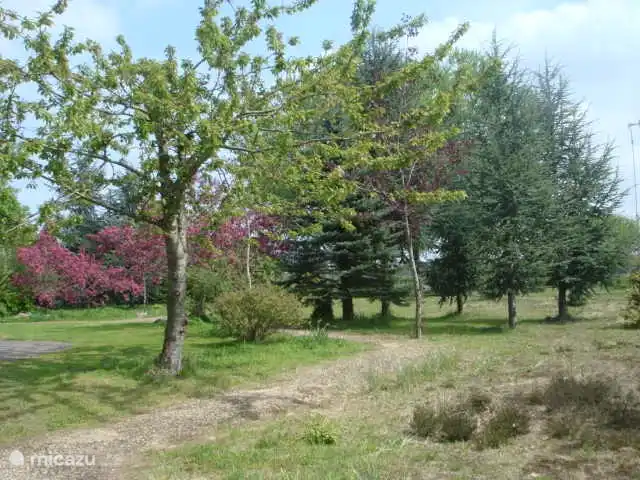 't Heide-huisje, airco en uitzicht huren in Nederland, Groningen, Westerwolde - vakantiehuis tuin