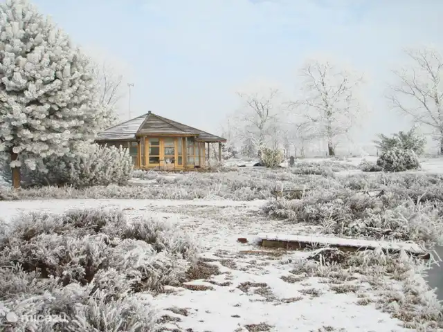 't Heide-huisje, airco en uitzicht huren in Nederland, Groningen, Westerwolde - vakantiehuis sneeuwlandschap