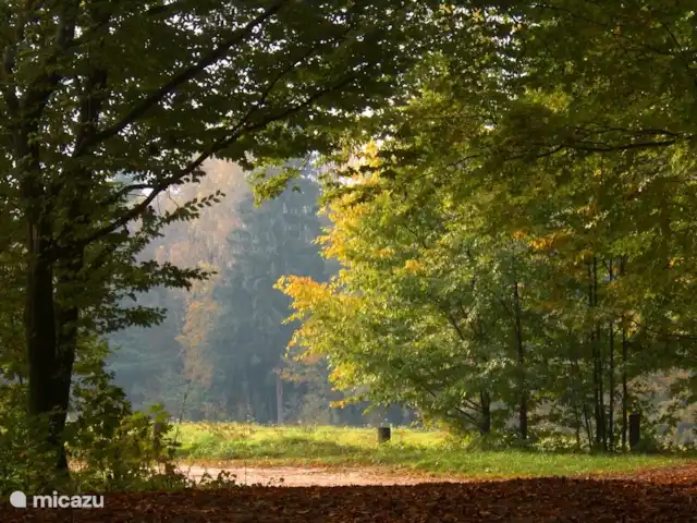 't Heide-huisje, airco en uitzicht huren in Nederland, Groningen, Westerwolde - vakantiehuis .omgeving