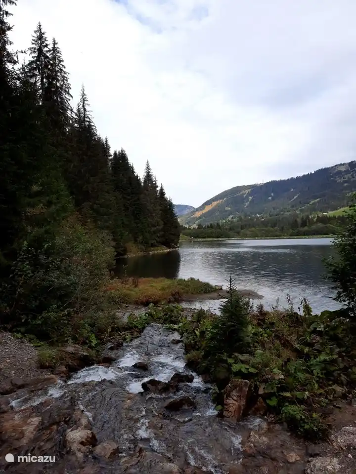lac dans la région