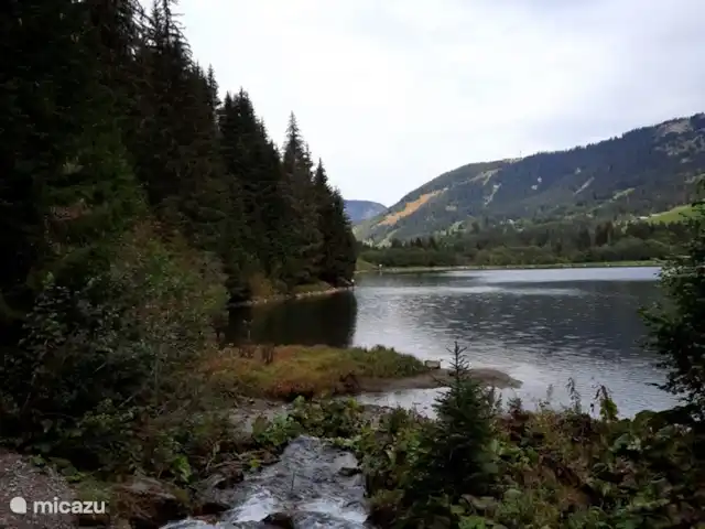 Les Fledds huren in Frankrijk, Haute-Savoie, La Chapelle-d'Abondance - appartement meertje in de omgeving