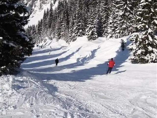 Les Fledds huren in Frankrijk, Haute-Savoie, La Chapelle-d'Abondance - appartement genieten van de omgeving