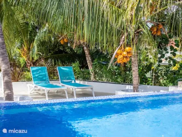 Villa salsa | Curaçao, Banda Ariba (est), Spaanse Water - villa Villa Salsa est une belle villa avec sa propre piscine, des équipements luxueux et une vue inoubliable, de magnifiques porches et un magnifique jardin fleuri. La Villa est située dans le quartier de Brakkeput Abou près de l'eau espagnole, de la baie de Caracas et de Jan Thiel.