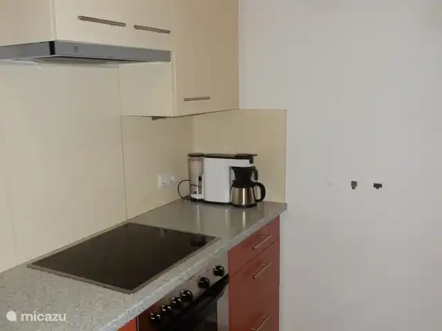 chalet en Austria, Carintia, Kötschach-Mauthen – casa de campo Detalle cocina: vitrocerámica y horno eléctrico. Cafetera, tostadora y otros electrodomésticos de cocina están disponibles.