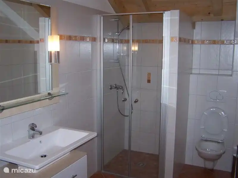 Salle de bain luxueuse avec douche et WC et machine à laver/sécher