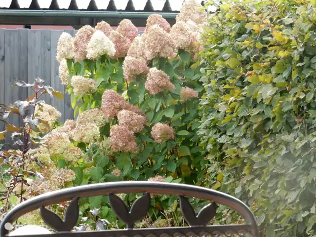 chalet en Austria, Carintia, Kötschach-Mauthen – casa de campo Hermosas plantas con flores desde la primavera hasta el otoño.