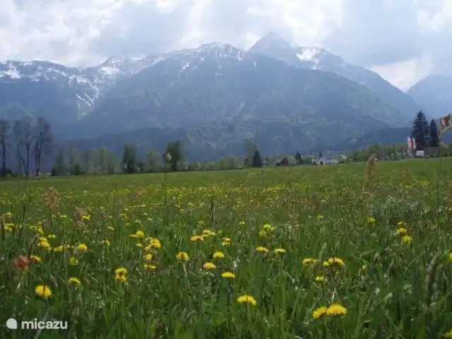 chalet en Austria, Carintia, Kötschach-Mauthen – casa de campo Vista de verano