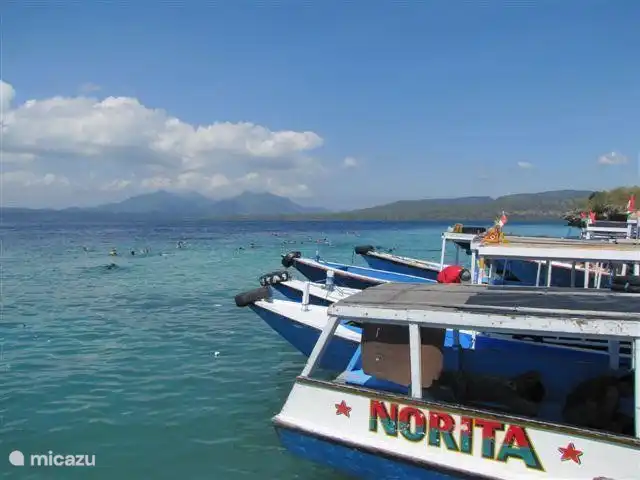 Ubicación de buceo y esnórquel en la isla de Menjangan, nuestro conductor (s) con gusto lo llevará allí.
El consejo es ir temprano en la mañana, porque el mar suele estar demasiado agitado para bucear por la tarde.