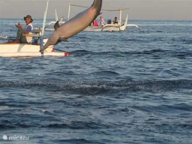 En nuestra puerta, lo recogerán con un bote en la villa.