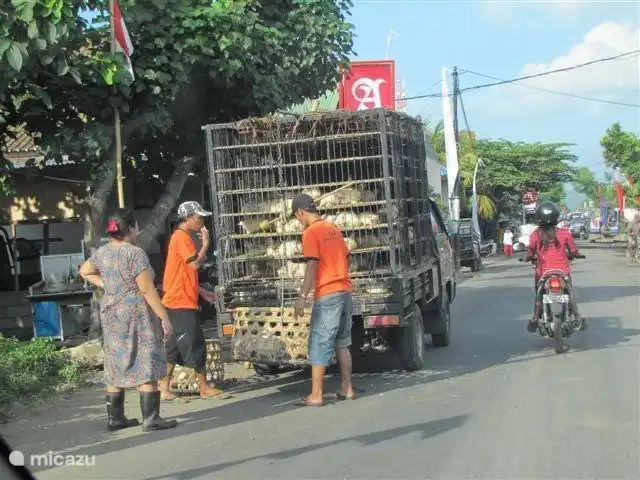 Sólo en algún lugar a lo largo de la carretera