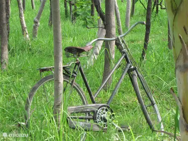 Por el camino a la villa