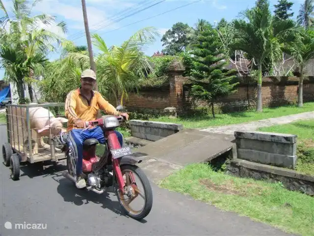 Sólo en algún lugar a lo largo de la carretera