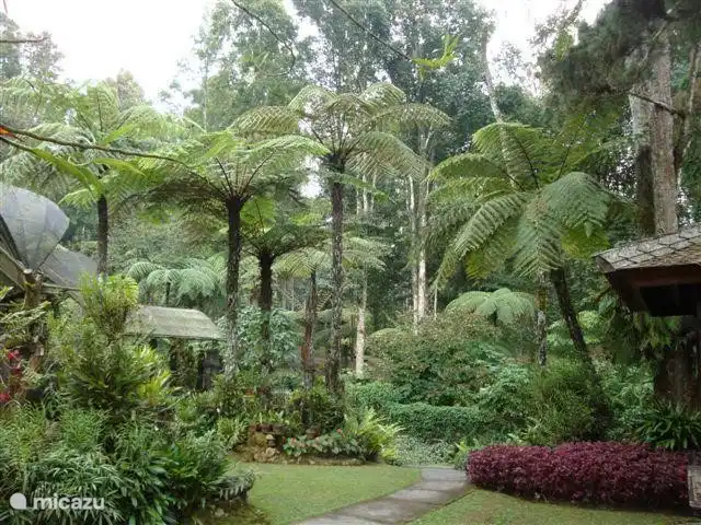 Jardines Botánicos de Budegul
