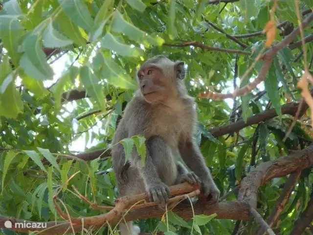 Justo a lo largo del camino