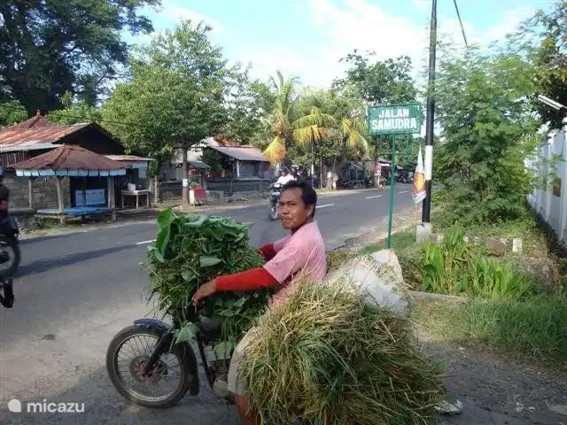 Aquí el camino a la derecha de la calle principal a la villa