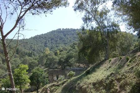 13- Natuurpark Montes de Malaga