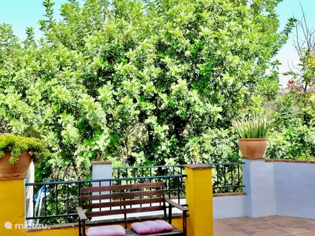 Villa Lola. Rust, natuur, prive-pool huren in Spanje, Costa del Sol, Comares - villa Zitje