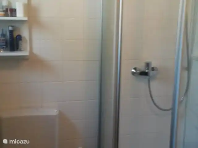 Maison de vacances idyllique dans l'Eifel | Allemagne, Eifel, Lissendorf - bungalow salle de douche compacte avec lavabo, douche et toilettes