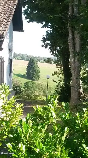 Blick vom Garten hinter dem Haus