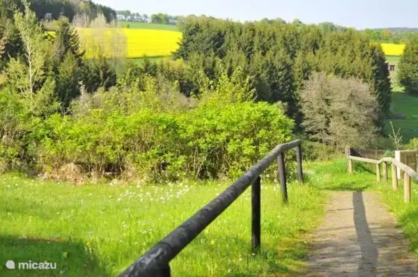 mit Blick auf den Wald