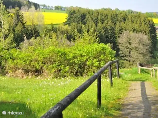 Maison de vacances idyllique dans l'Eifel | Allemagne, Eifel, Lissendorf - bungalow surplombant la forêt
