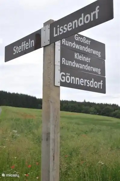 Wald mit markierten Wanderwegen