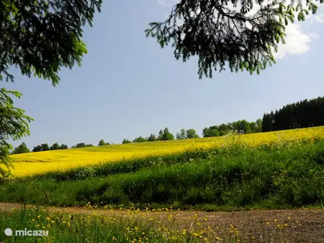 Maison de vacances idyllique dans l'Eifel | Allemagne, Eifel, Lissendorf - bungalow vue du parc