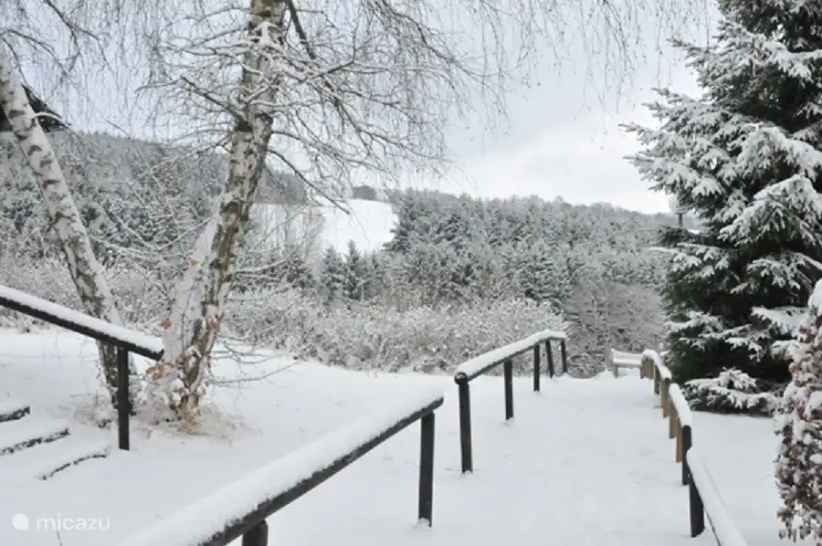 Winteransicht des Vorgartens