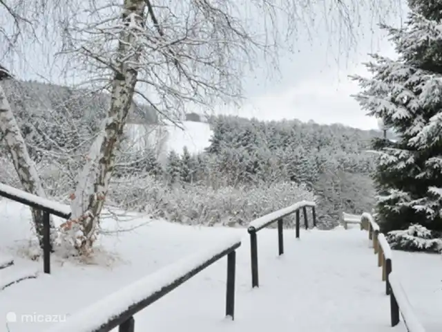 Maison de vacances idyllique dans l'Eifel | Allemagne, Eifel, Lissendorf - bungalow vue d'hiver de la cour avant