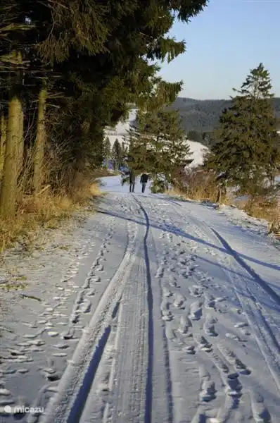 zu Fuß vom Park ...