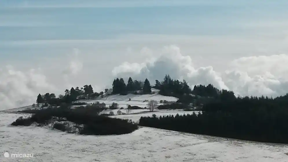 Winterlandschaft in Daun