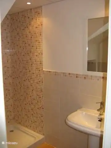 Badkamer 1 met douche, toilet en wastafel