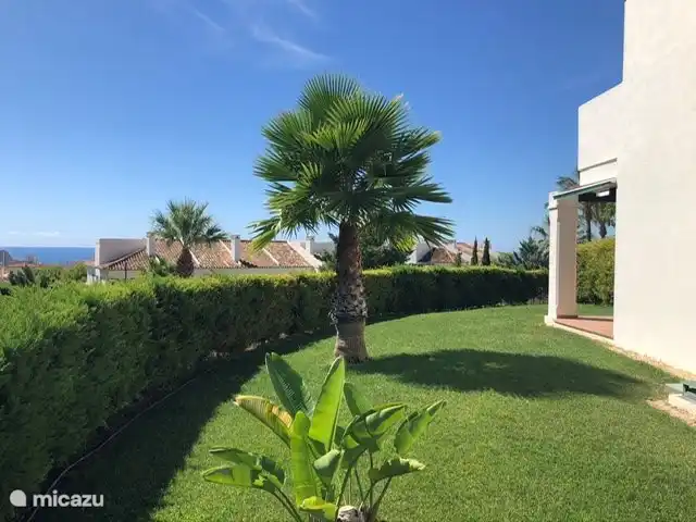 De ruime tuin is intussen prachtig volgroeid.