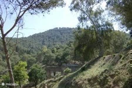 13-Parque Natural Montes de Málaga