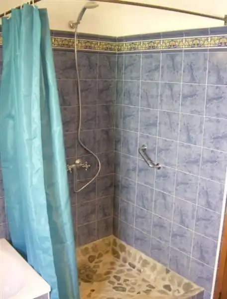 In addition to a shower, there is also a bathtub.