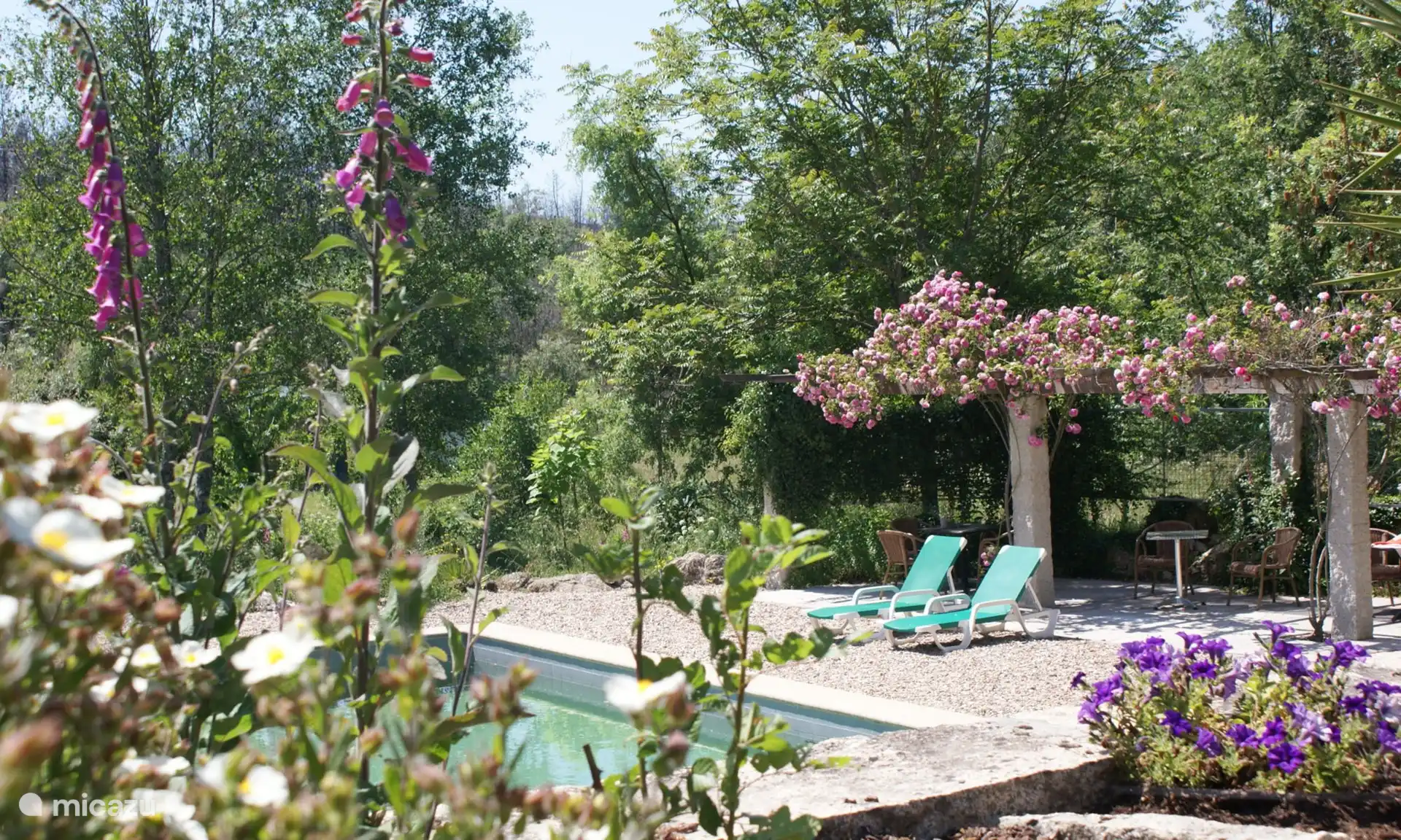 need to say more..? gedeeld zwembad
