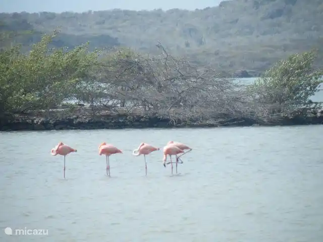 3 km entfernt,
Blick auf Landhaus Jan Koch mit einem schönen Galerie Nena Sanchez, ein Muss