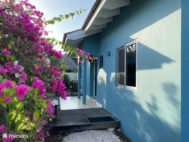 Die Vorderseite des Hauses mit der Haustür.