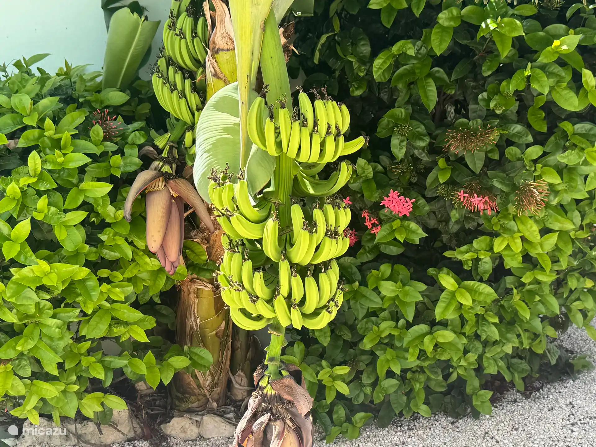 Garten Lagoon Ocean Resort