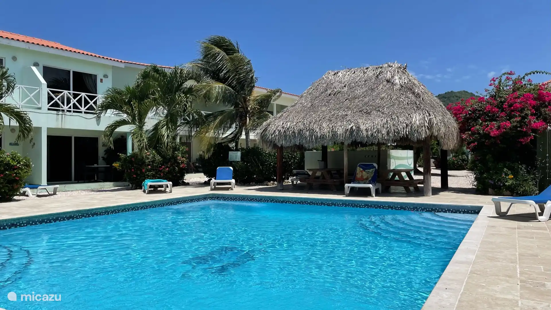 Hinter den Palmen die Wohnung