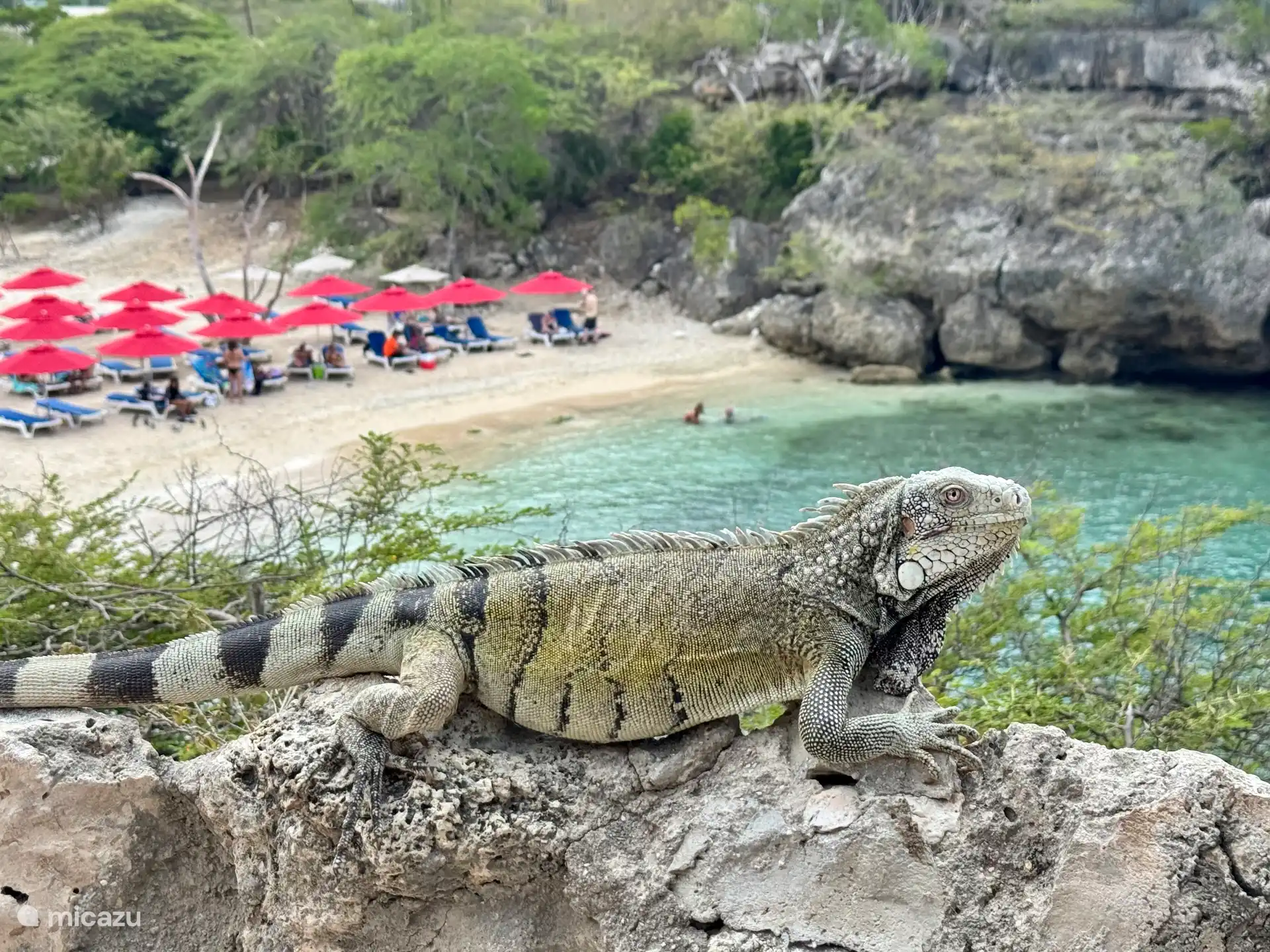 appartement in Curaçao – Appartement 2Lagun