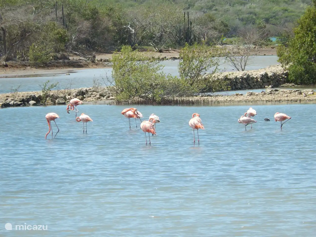 15 Autominuten von der Wohnung entfernt