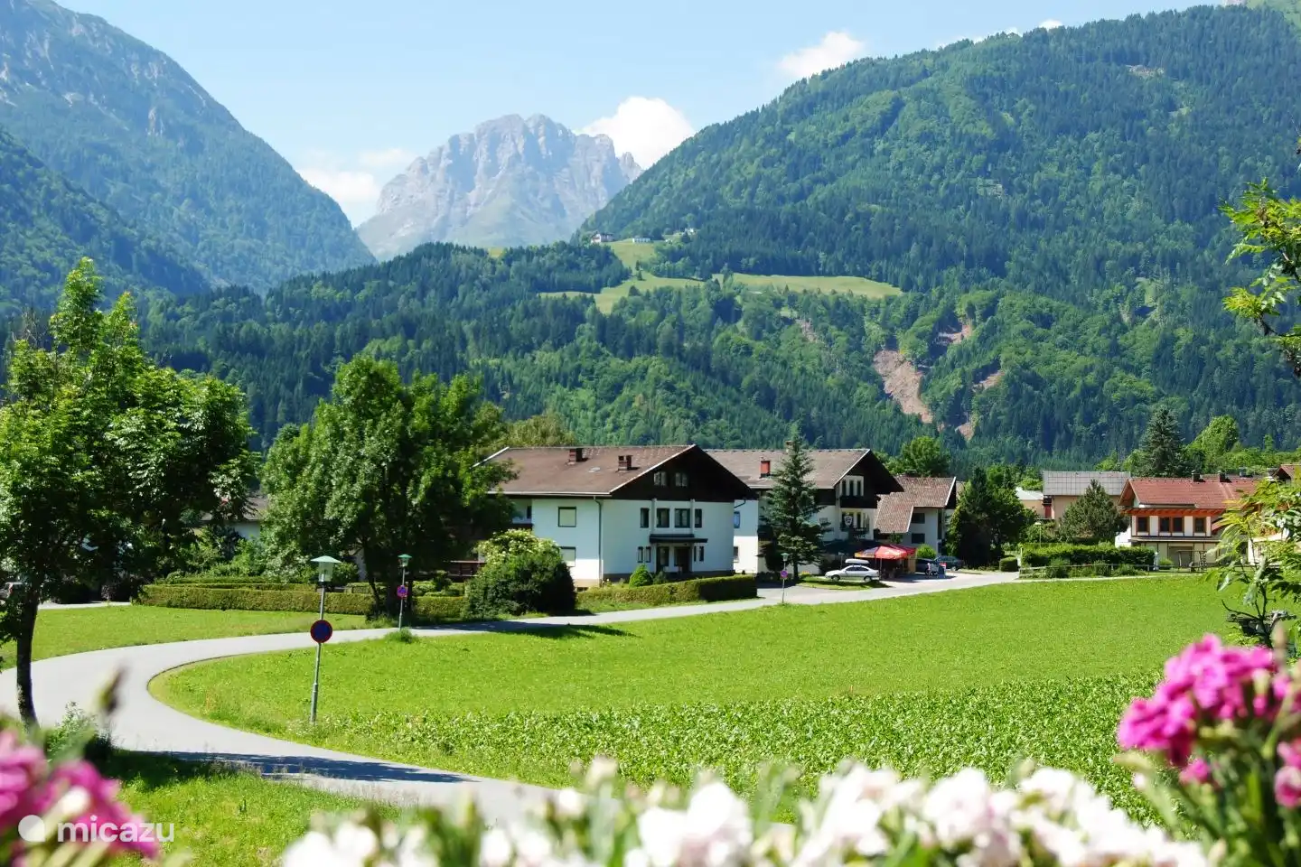 View from the balcony in summer