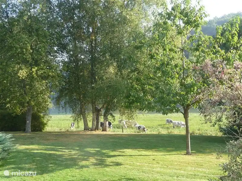 Le jardin au printemps