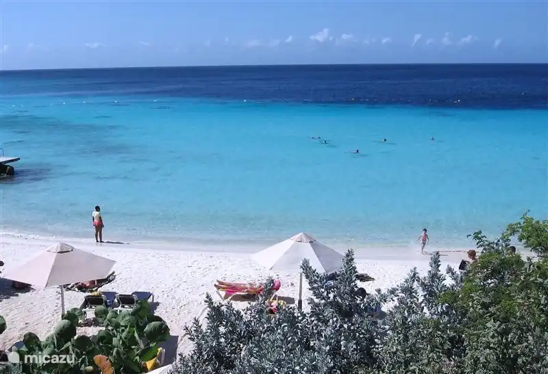 rêvez sur l'une des nombreuses plages